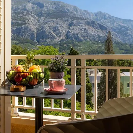 Apartel Park Osejava