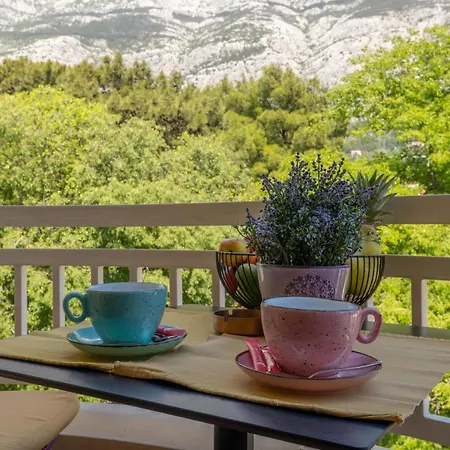 Apartel Park Osejava 招待所 4*