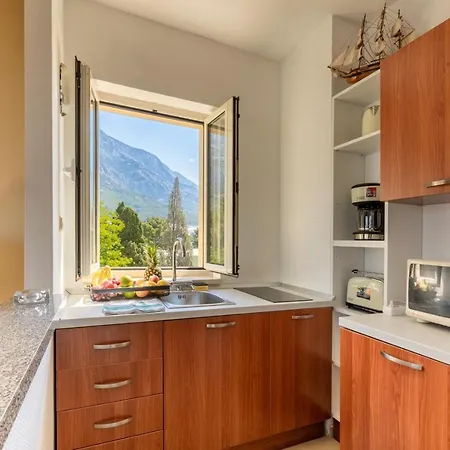 게스트하우스 Apartel Park Osejava 마카르스카