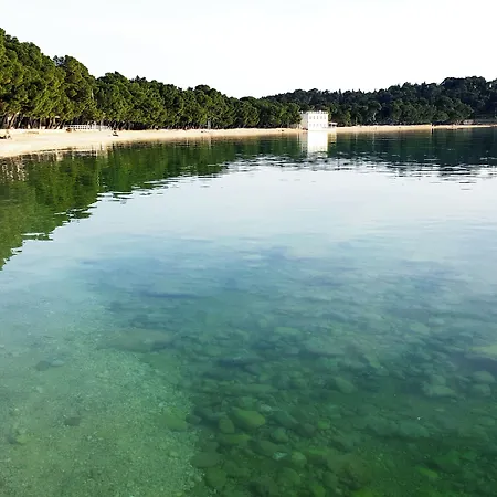 게스트하우스 Apartel Park Osejava 4*