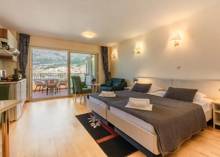 게스트하우스 Apartel Park Osejava 4*