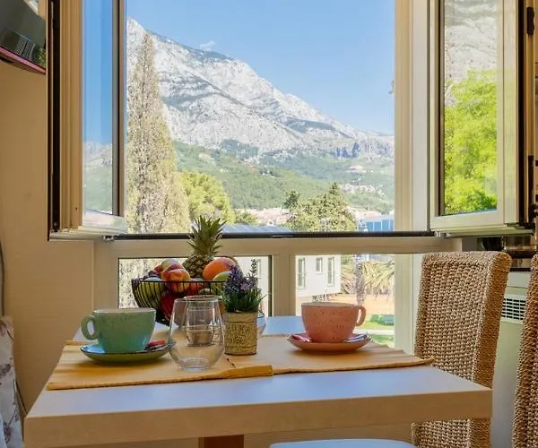 Apartel Park Osejava 4*