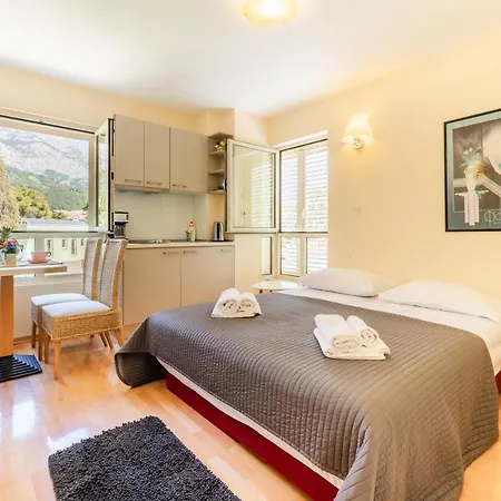 Apartel Park Osejava